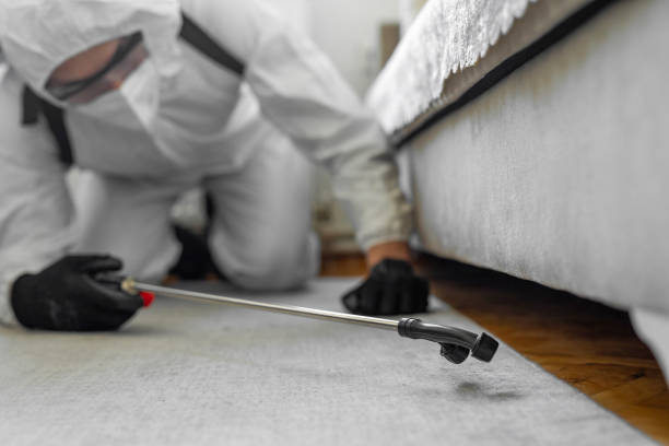Professional Termite Control technician working in Iselin, NJ