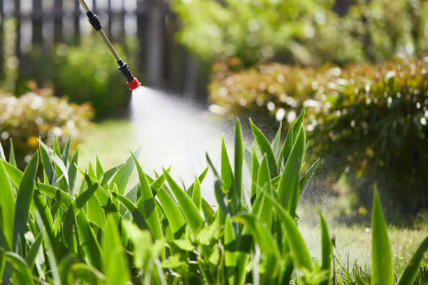 24/7 Emergency Termite Control experts in Iselin, NJ