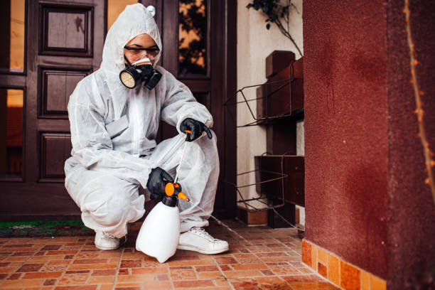 Reliable Termite Control contractor in Iselin, NJ by Nex Pest Control